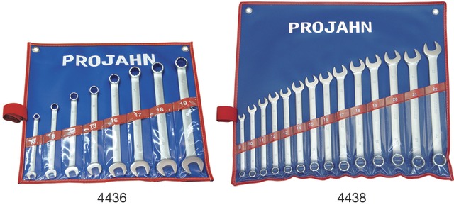 PROJAHN 5013554438 Csillag-villáskulcs készlet, hosszú