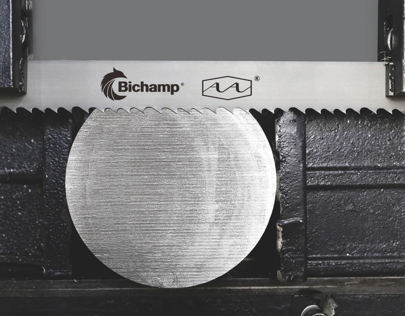 BICHAMP szalagfűrész | 34x1,1 4/6  AA Cut M51 PM